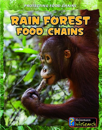 Stock image for Rain Forest Food Chains for sale by Better World Books