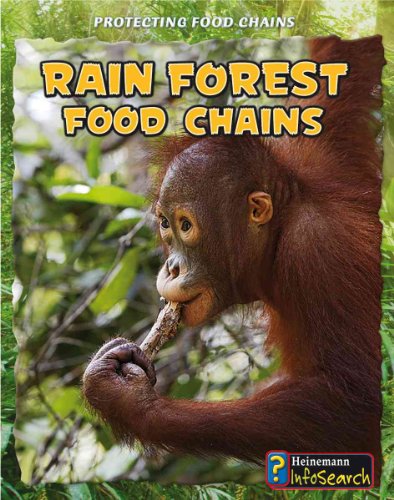 Beispielbild fr Rain Forest Food Chains zum Verkauf von Better World Books