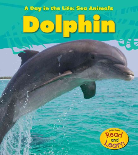 Dolphin (A Day in the Life: Sea Animals) (9781432940065) by Spilsbury, Louise