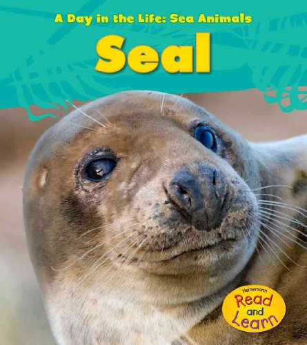 Seal (A Day in the Life: Sea Animals) (9781432940096) by Spilsbury, Louise