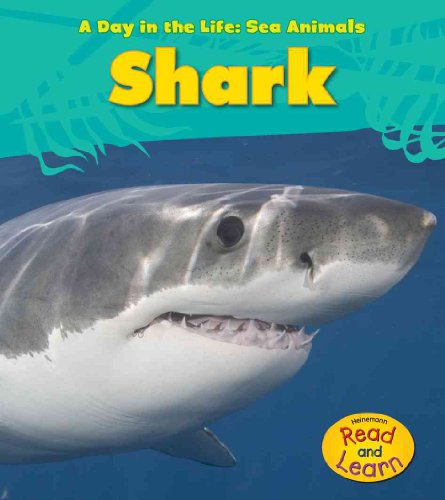 Shark (A Day in the Life: Sea Animals) (9781432940102) by Spilsbury, Louise