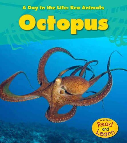 9781432940119: Octopus (A Day in the Life: Sea Animals)