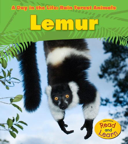 Stock image for Lemur for sale by Better World Books