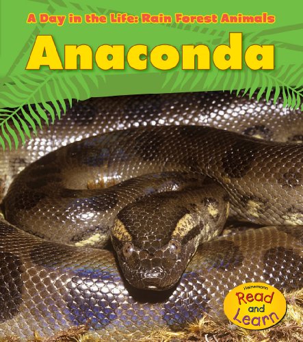 9781432941123: Anaconda (A Day in the Life: Rain Forest Animals)