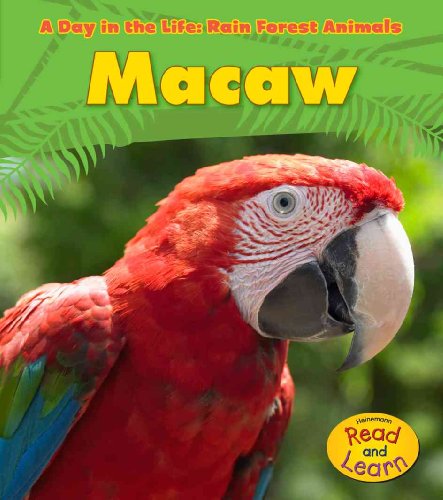 9781432941161: Macaw (Heinemann Read and Learn: A Day in the Life: Rain Forest Animals)