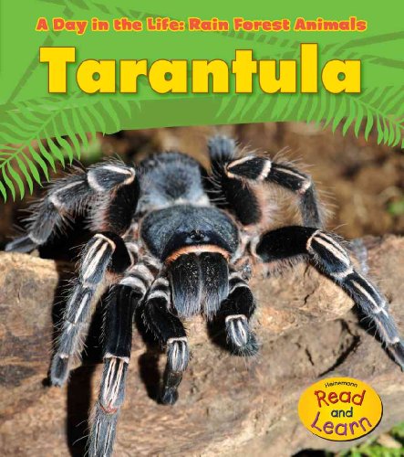 9781432941208: Tarantula (Heinemann Read and Learn: A Day in the Life: Rain Forest Animals)