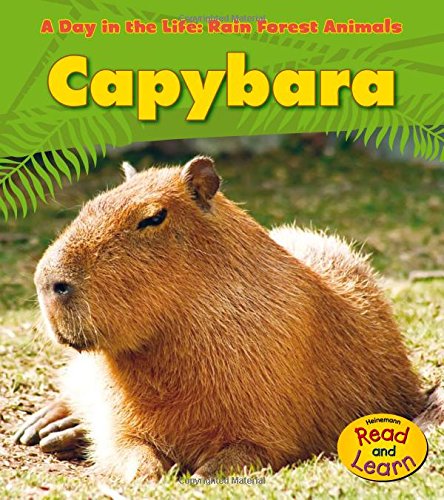9781432941215: Capybara (A Day in the Life: Rain Forest Animals) - Ganeri,  Anita: 1432941216 - AbeBooks