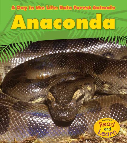 9781432941239: Anaconda (Heinemann Read and Learn: A Day in the Life: Rain Forest Animals)