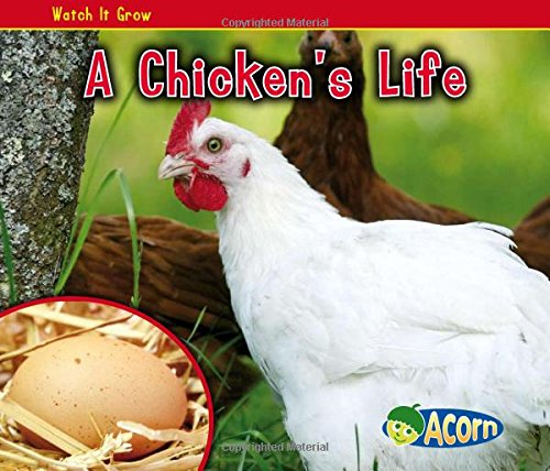 Beispielbild fr A Chicken's Life (Watch It Grow) zum Verkauf von SecondSale