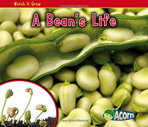 Imagen de archivo de A Bean's Life a la venta por ThriftBooks-Atlanta