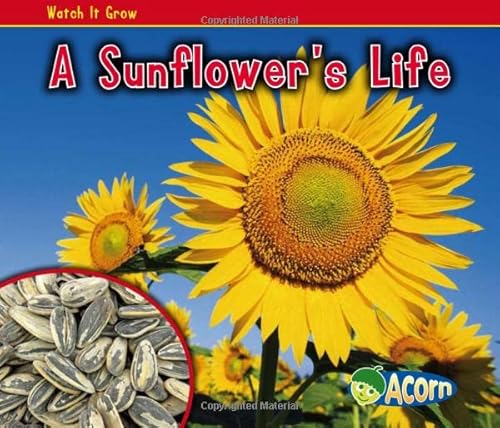 Beispielbild fr A Sunflower's Life zum Verkauf von Better World Books