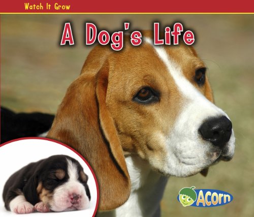 Imagen de archivo de A Dog's Life a la venta por Better World Books: West