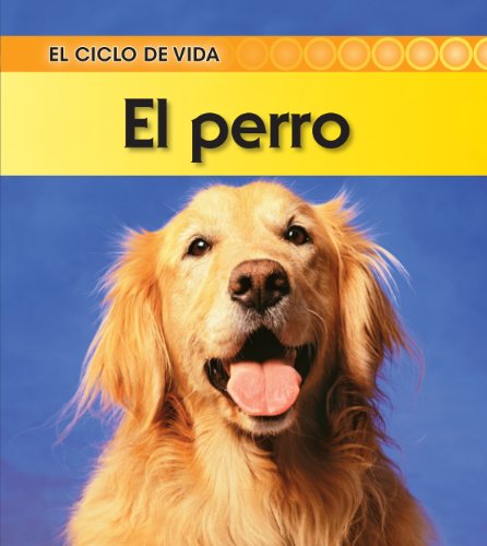 9781432943684: El perro / Dog