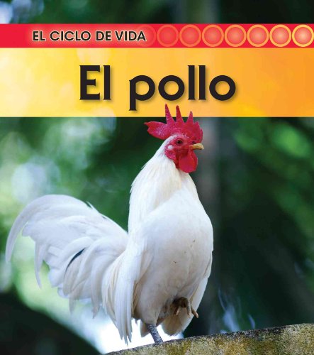 El pollo / Chicken (El ciclo de vida / Life Cycle of a. . .) (Spanish Edition) (9781432943837) by Royston, Angela