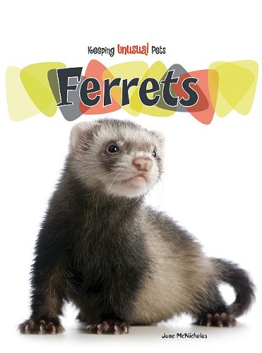 Beispielbild fr Ferrets (Keeping Unusual Pets) zum Verkauf von dsmbooks