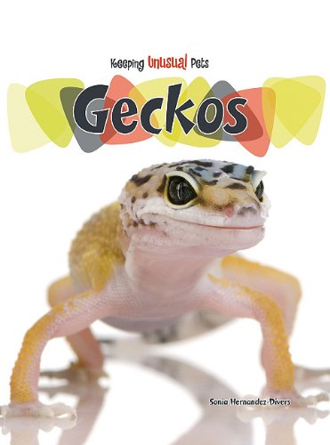 Beispielbild fr Geckos (Keeping Unusual Pets) zum Verkauf von SecondSale