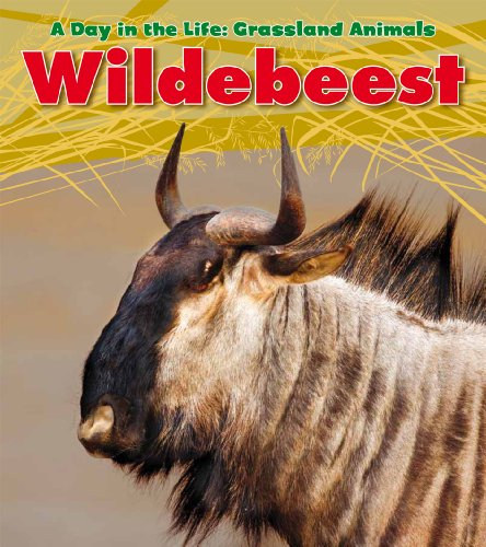 Wildebeest (Heinemann Read and Learn: A Day in the Life: Grassland Animals) (9781432947453) by Spilsbury, Louise