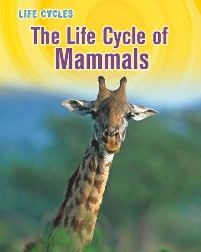 The Life Cycle of Mammals (Heinemann Infosearch: Life Cycles: Level R) (9781432949815) by Gray, Susan H.