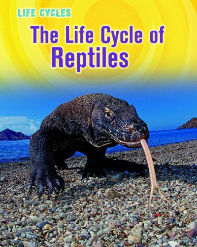 The Life Cycle of Reptiles (Heinemann Infosearch, Level R: Life Cycles) (9781432949822) by Stille, Darlene R.