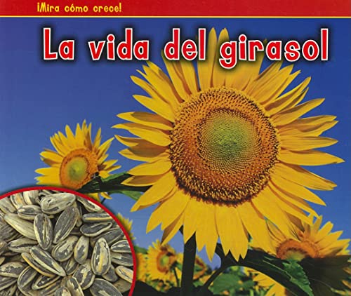 9781432952891: La Vida del Girasol = The Life of a Sunflower (Bellota: Mira como crece! / Acorn: Watch It Grow!)
