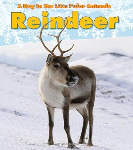 9781432953300: Reindeer (Heinemann Read and Learn Level K: A Day in the Life: Polar Animals)