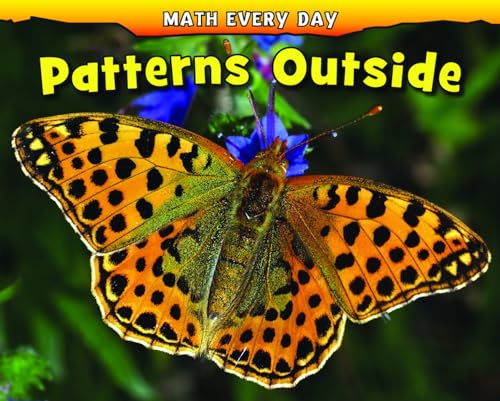 Imagen de archivo de Patterns Outside a la venta por Better World Books