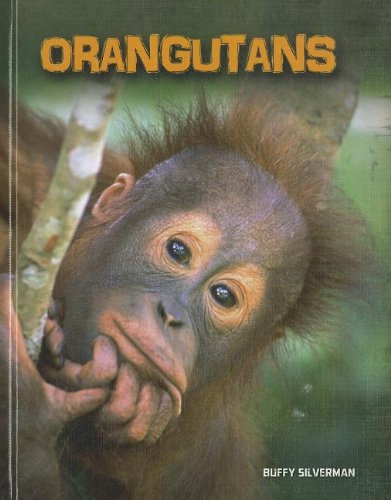Stock image for Orangutans for sale by Revaluation Books