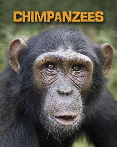9781432958695: Chimpanzees (Heinemann InfoSearch: Living in the Wild: Primates)