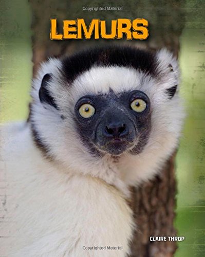 9781432958718: Lemurs (Living in the Wild: Primates)