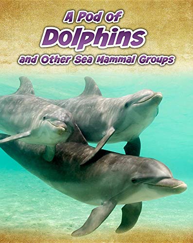 Stock image for A Pod of Dolphins : And Other Sea Mammal Groups for sale by Better World Books