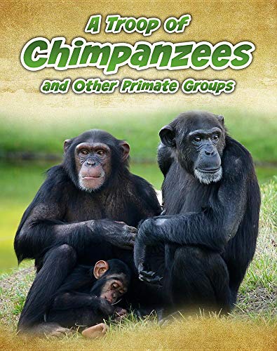 A Troop of Chimpanzees: and Other Primate Groups (Animals in Groups) (9781432964856) by Spilsbury, Richard