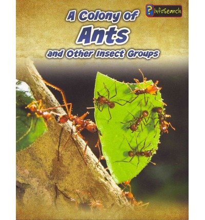 Stock image for A Colony of Ants: and Other Insect Groups (Animals in Groups) for sale by SecondSale