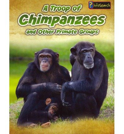 A Troop of Chimpanzees: and Other Primate Groups (Animals in Groups) (9781432964924) by Spilsbury, Richard