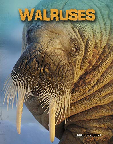 9781432970666: Walruses (Living in the Wild: Sea Mammals)