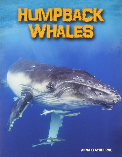 Humpback Whales (Living in the Wild: Sea Mammals) (9781432970697) by Claybourne, Anna