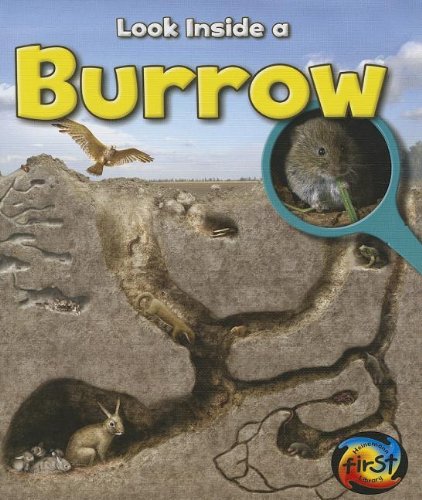 Stock image for Burrow : Look Inside for sale by Better World Books
