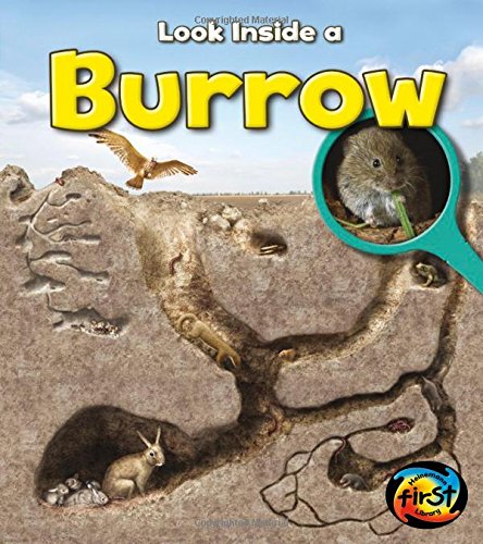 Look Inside a Burrow (9781432972004) by Spilsbury, Richard