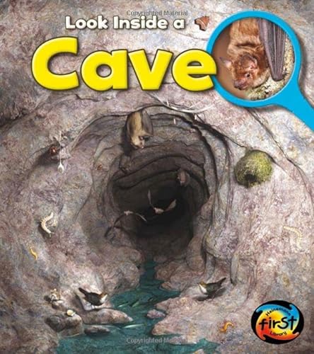 Beispielbild fr Cave : Look Inside zum Verkauf von Better World Books