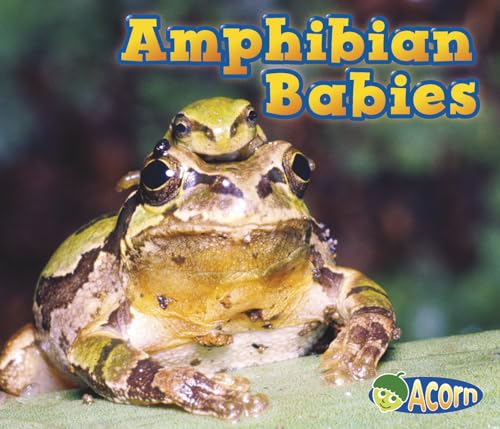 9781432974916: Amphibian Babies