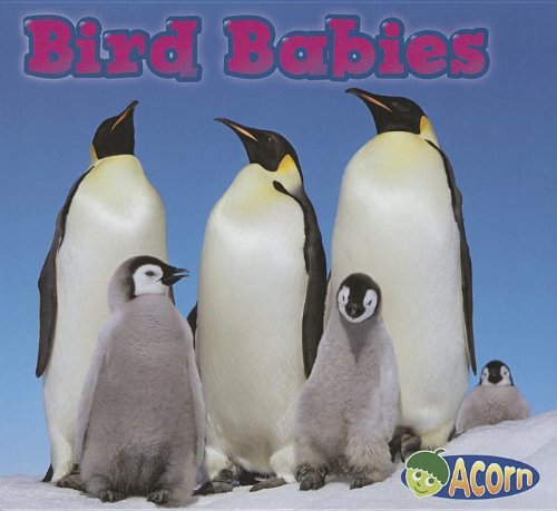 Stock image for Bird Babies for sale by ThriftBooks-Atlanta
