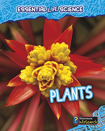 9781432978433: Plants (Heinemann InfoSearch)