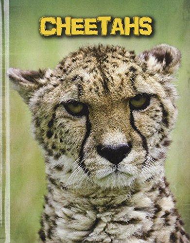 Imagen de archivo de Cheetahs a la venta por Better World Books: West