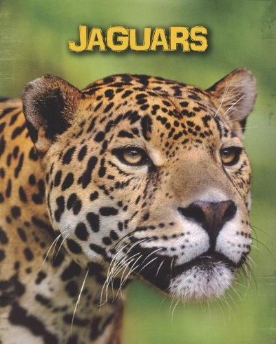 9781432981136: Jaguars (Heinemann InfoSearch: Living in the Wild: Big Cats)