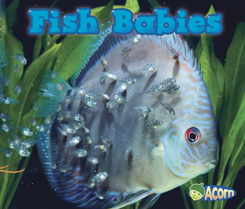 9781432984182: Fish Babies (Acorn: Animal Babies)