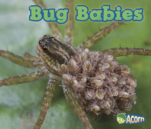 Stock image for Bug Babies (Animal Babies) (Paperback) for sale by AussieBookSeller