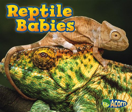 Imagen de archivo de Reptile Babies a la venta por ThriftBooks-Atlanta
