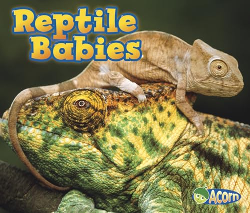 Stock image for Reptile Babies for sale by ThriftBooks-Atlanta