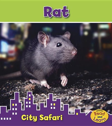 Imagen de archivo de Rat : City Safari a la venta por Better World Books