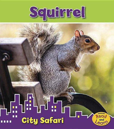 Beispielbild fr Squirrel : City Safari zum Verkauf von Better World Books