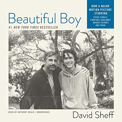 Beautiful Boy: A Father's Journey Through His Son's Meth Addiction (9781433204685) by Sheff, David